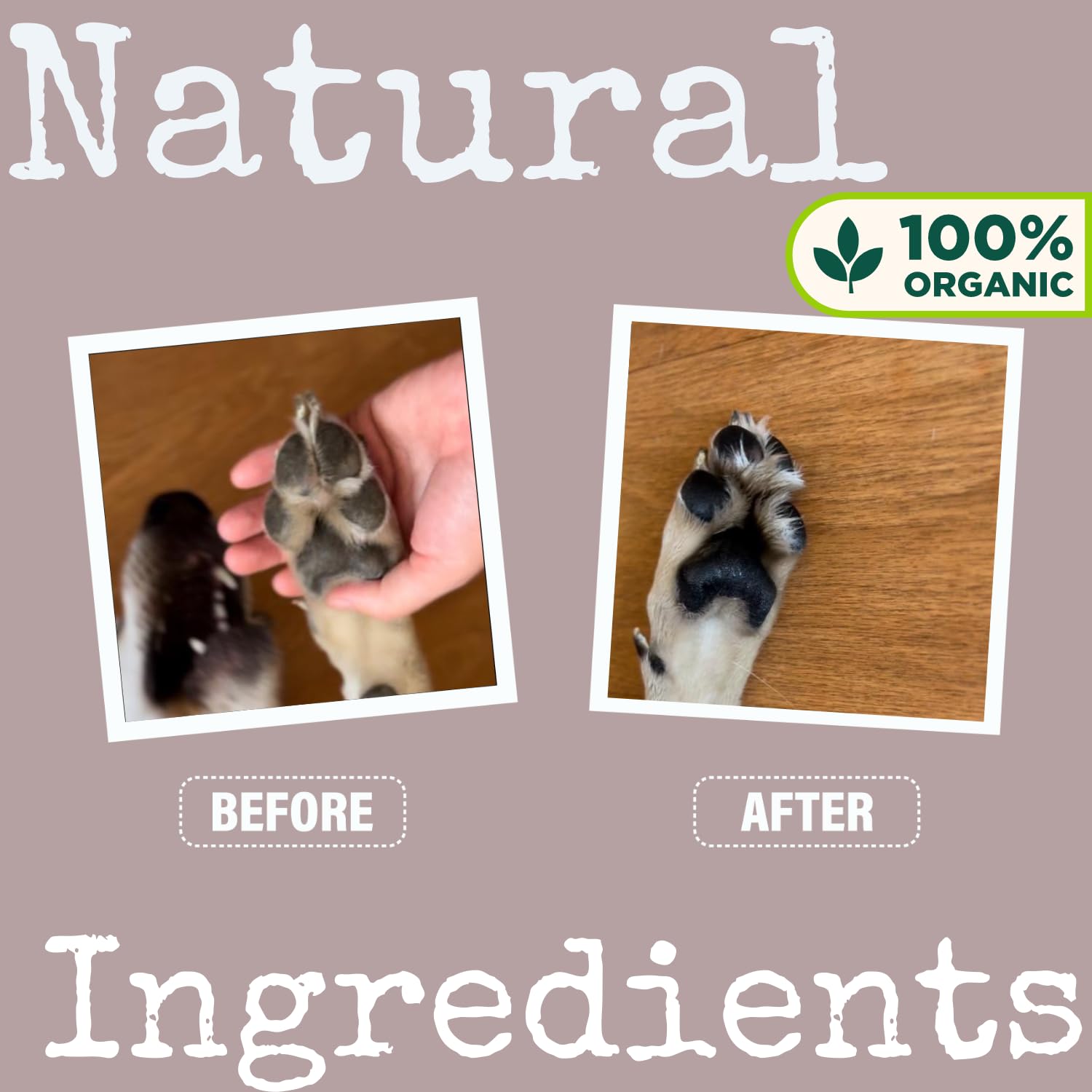 Baume bio 30 ml 100 % naturel pour nez et pattes de chien | Pour chiens hydratant hydrate et adoucit soulage les coussinets secs et craquelés (30 ml, 1), blanc