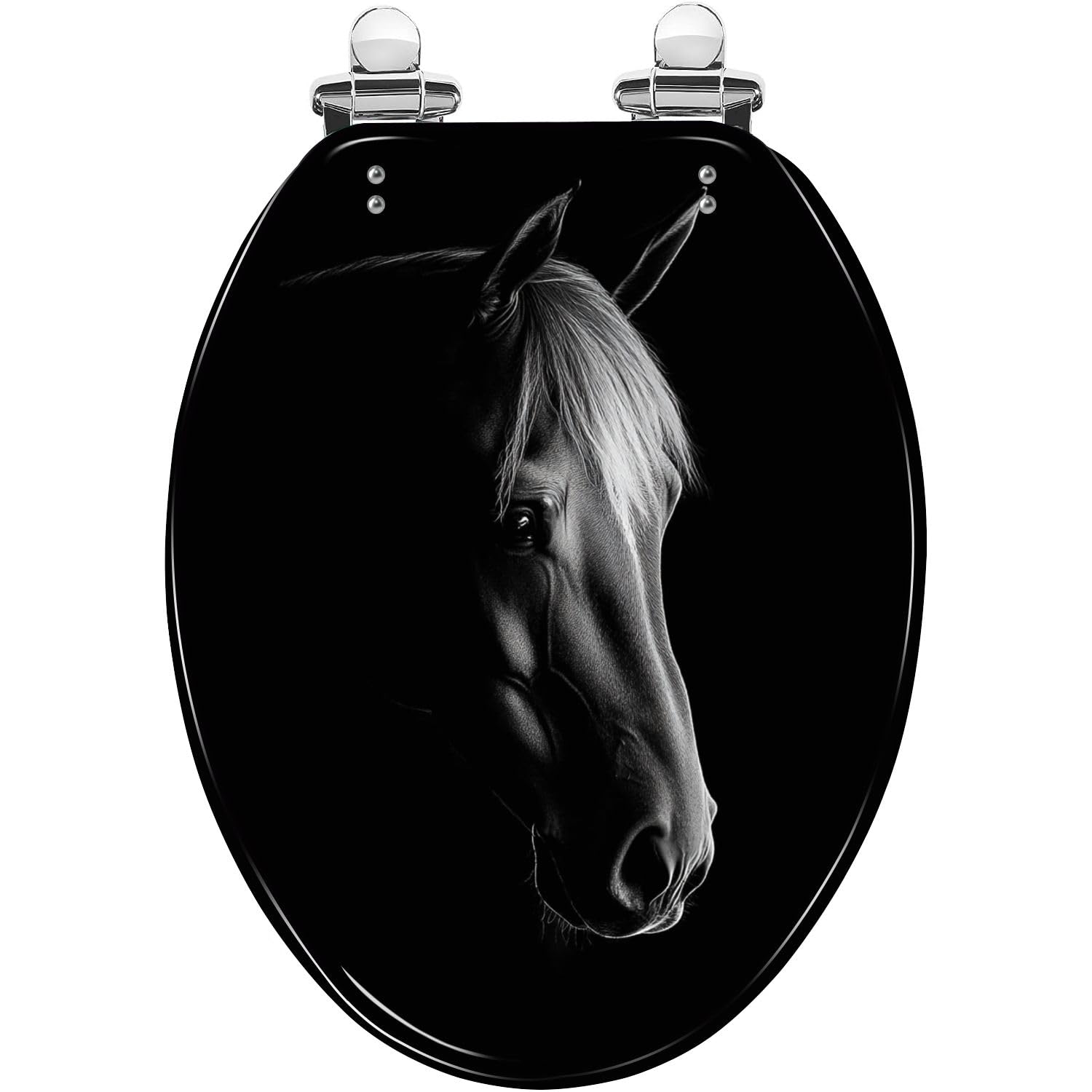 Tazyyzuu Multi5 Vibrant Coral Pirate Ship Resin Toilet Seat Slow-Close Lid Quick-Release Hinges Easy Clean 16.5X14.5 Inches(,18.5X14.5)