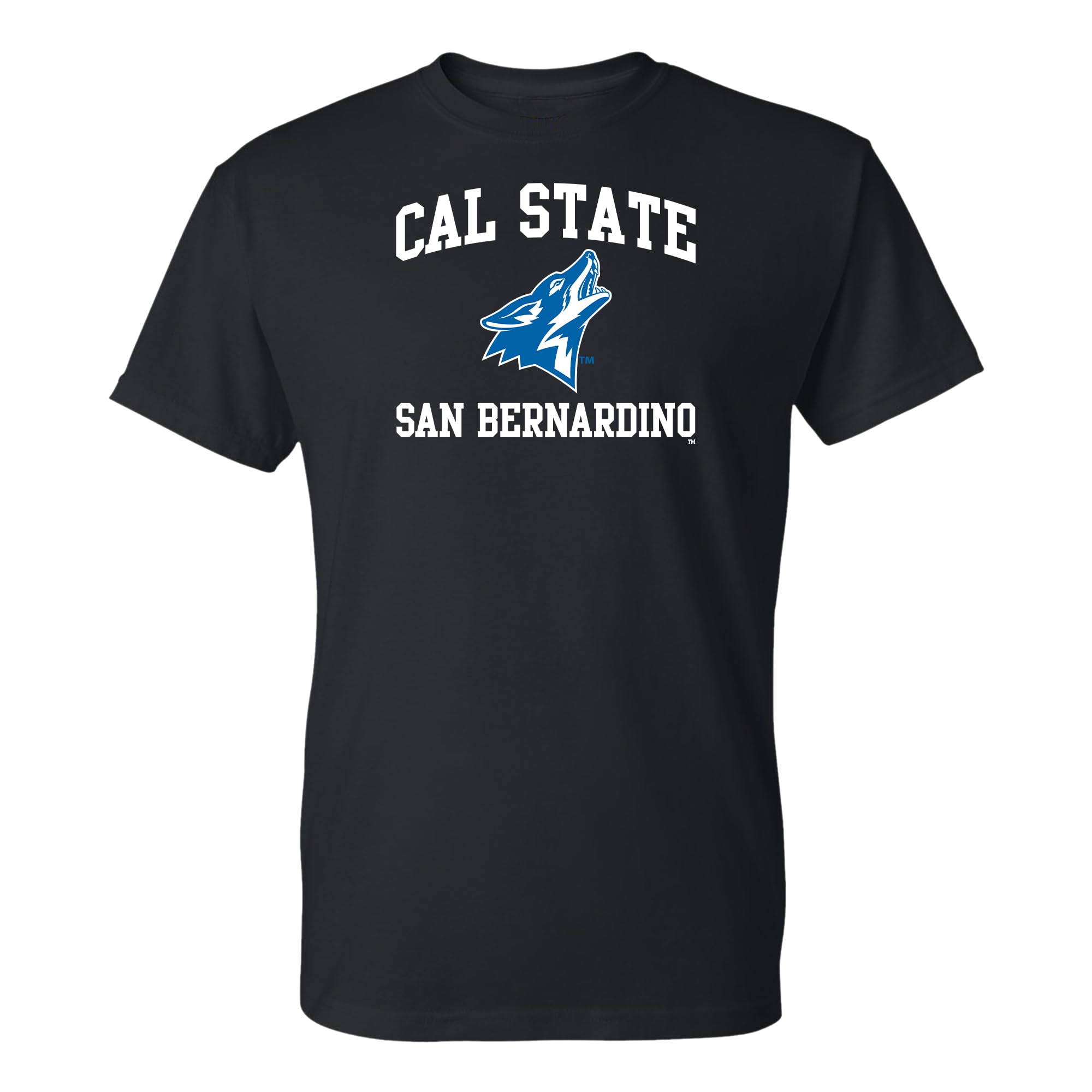 NCAA Arch Logo - NCAA Sports Team Color T Shirt — view 66