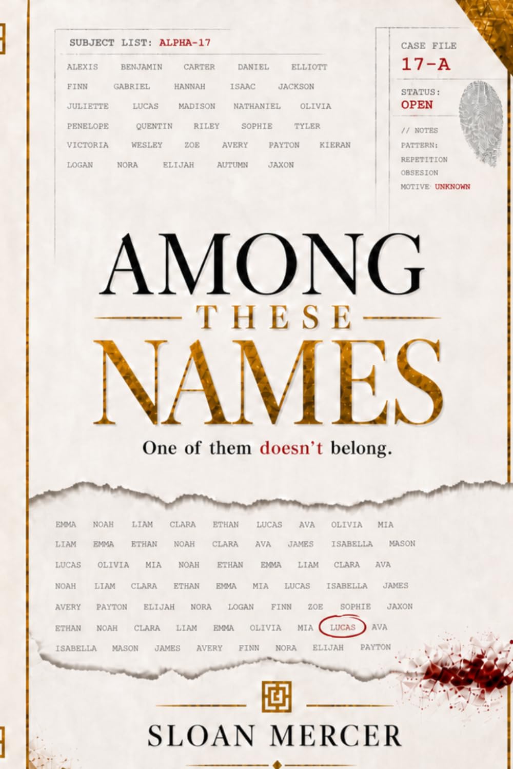 Among These Names: Find the Only One That Fits (Sloan Mercer Logic Puzzle Mysteries)