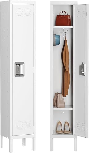 MIIIKO Armario de metal de un solo nivel con 2 estantes, armario de almacenamiento con rejillas de ventilación y ganchos para colgar, para