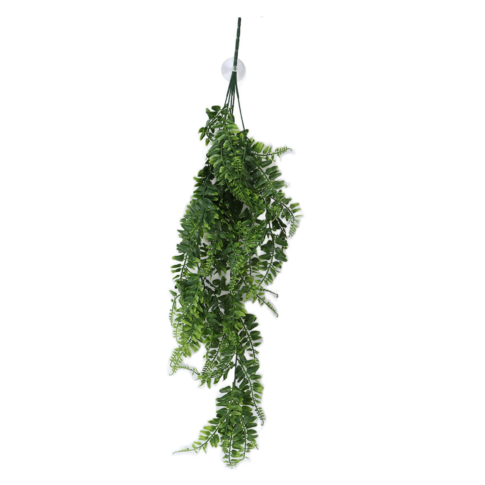 Pssopp Farne Simulation Vines, Harz Knstliche Hngende Farne Pflanzen Rebe fr  Aquarium Aquarium: Amazon.de: Haustier