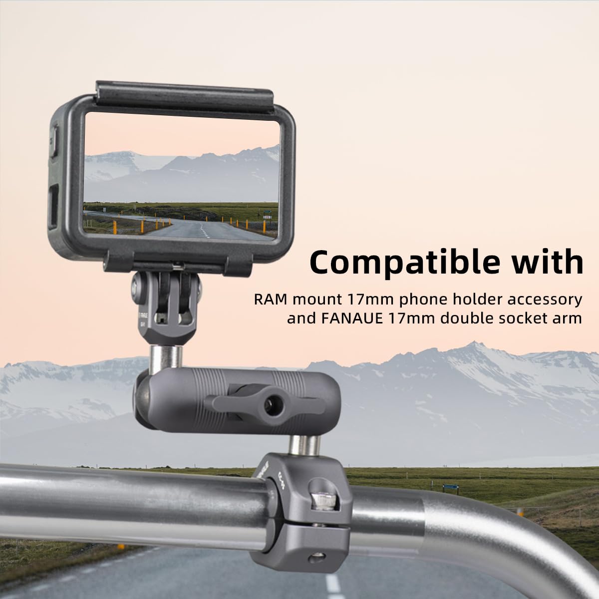 FANAUE Adaptateur De Tête Sphérique En Aluminium De 17 Mm Avec Filetage De 6,35 Mm Compatible Avec Support GPS Garmin Et Bras Double Prise De 17 Mm
