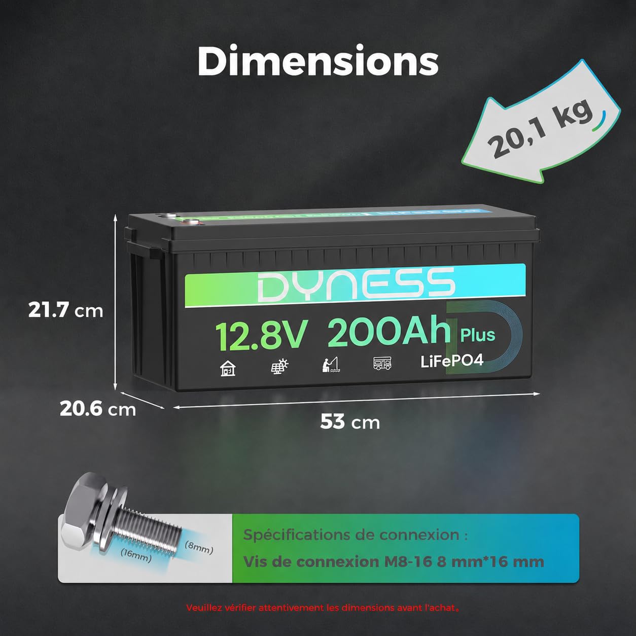 Dyness Batterie Lithium 12V 200Ah LiFePO4 avec BMS 200A intégré et Protection Basse Température, 2560Wh pour Camping-Car/Marin à Décharge Profonde, Solaire, Aventure/Van, Hors-Réseau