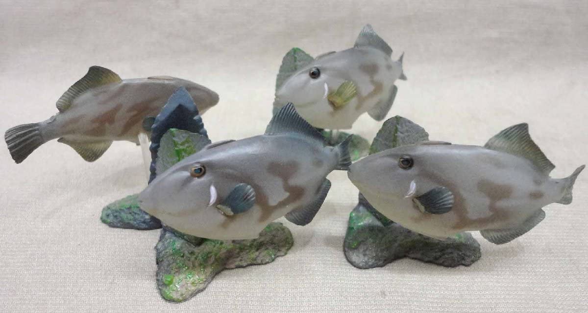 Amazon.co.jp: 原色海水魚図鑑2 ウマヅラハギ 4個セット ユージン 原色