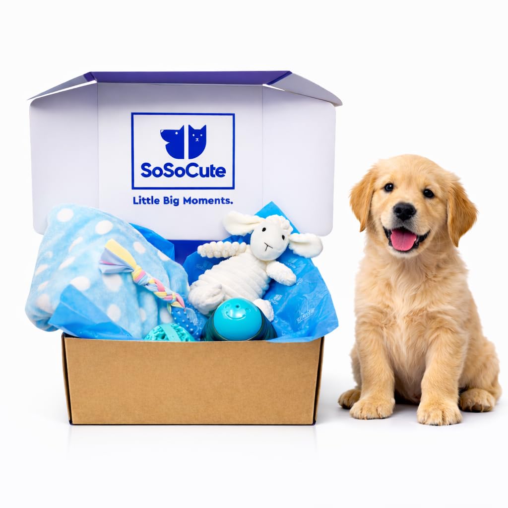 Caja de regalo azul para perros, juego de 5 juguetes masticables para cachorros, paquete de cuidado con manta para perro, felpa chirriante, mordedor de goma para cachorros, bola de dentición