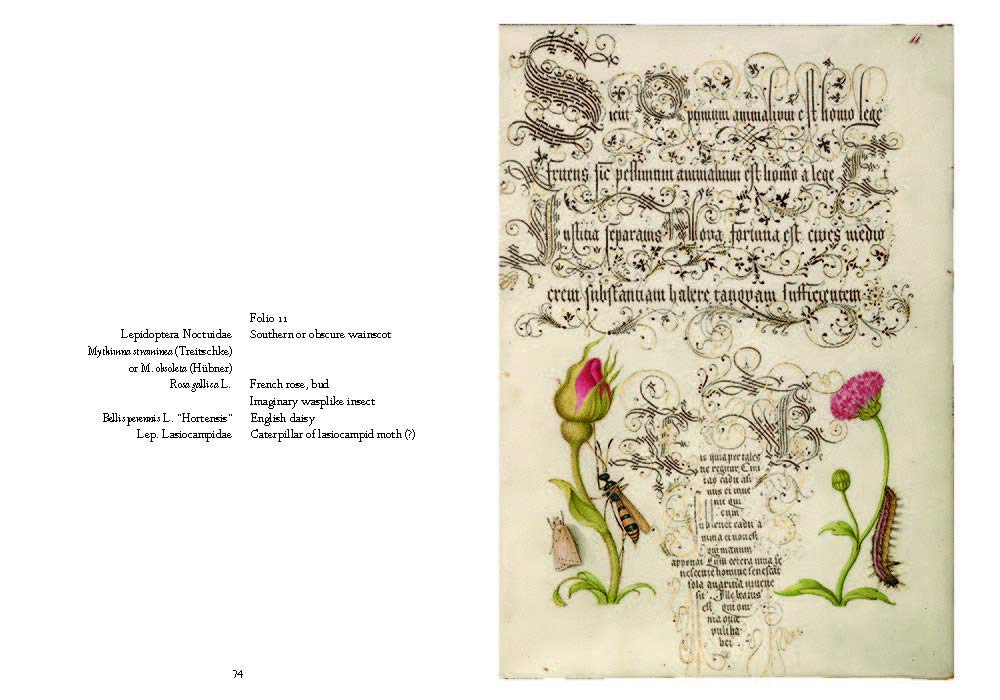 Mira Calligraphiae Monumenta: A Sixteenth-Century Calligraphic Manuscript Inscribed by Georg Bocskay and Illuminated by Joris Hoefnagel