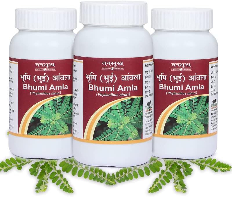 Tansukh Bhumi Amla Powder - Pack of 3 (100g Each) Bhumyamalaki Keelanelli Phyllanthus Niruri Churna | Supports Liver Functioning And Digestive Strength | Enriched With Essential Nutrients