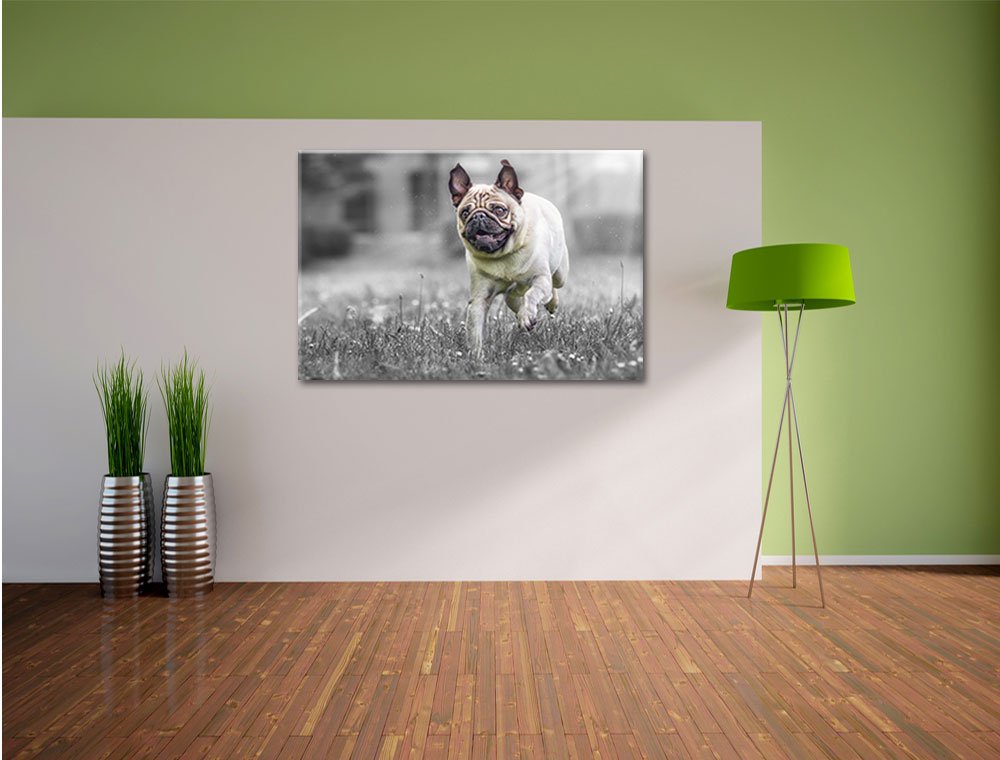 Leinwandbild „Mops Zwischen Blättern“ Schwarz-Weiß – 70x70 Cm Fertig Auf Keilrahmen Gespannt