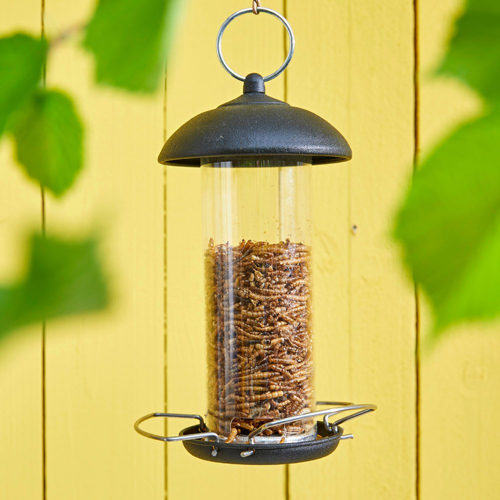 Dehner Natura Premium Wildvogel-Futterstelle Eichel – Wetterfeste Futterstation Mit Aufhängevorrichtung (14x14x22 Cm)