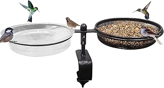 Best Bird Feeder On Fence Of 2020 Top Rated Reviewed