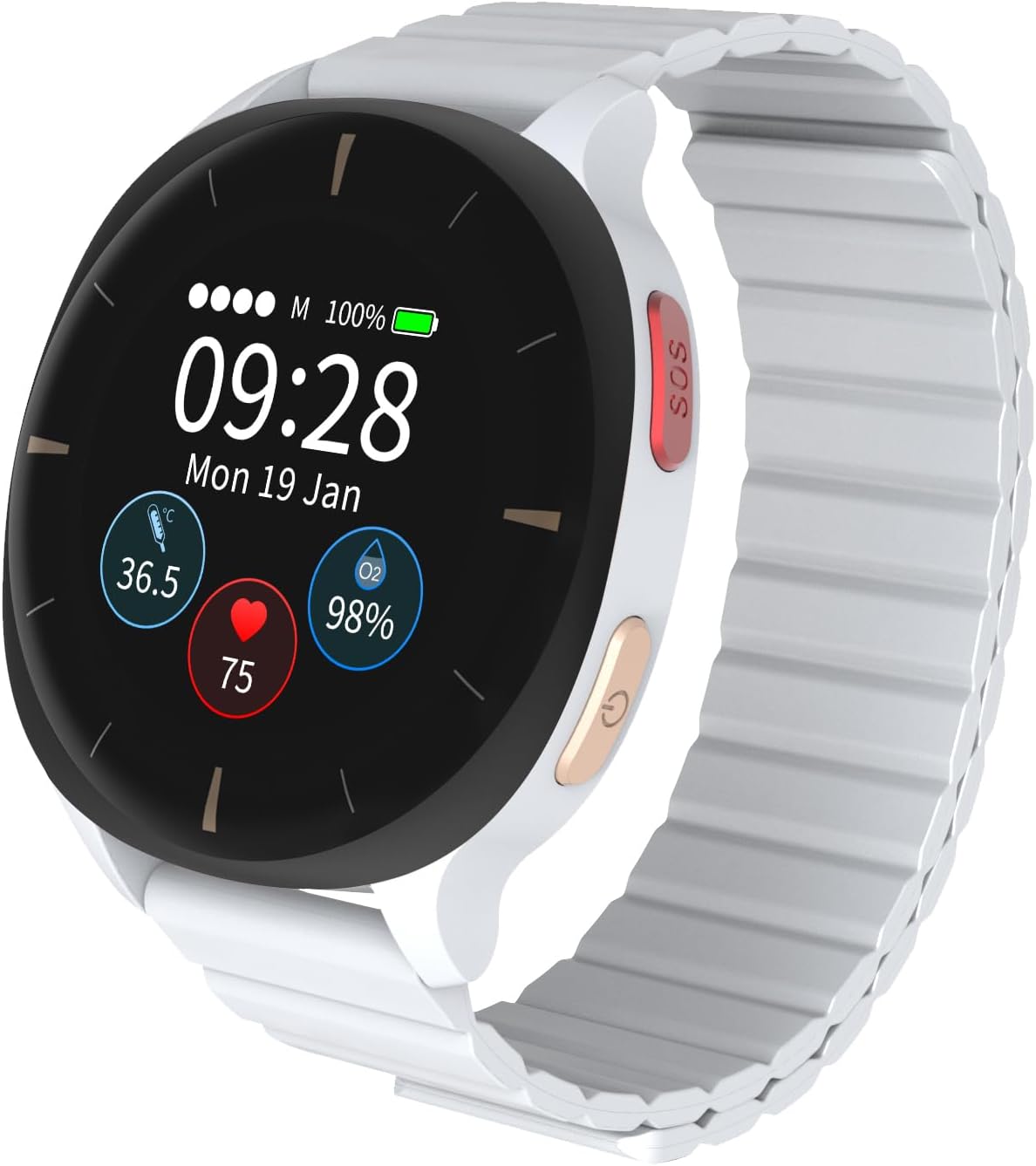 Audar E2 Senioren Smartwatch mit Sturzerkennung&amp;SOS, 24/7-Überwachung von Herzfrequenz/Blutdruck/SpO₂/Temperatur, IoT-KI-basierten Berichten&amp;Verläufen Cloud-Plattform, kein Smartphone/App erforderlich