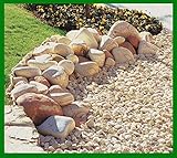 pietre ornamentali da giardino sardegna DECORAZIONE GIARDINI Decomadeinitaly CIOTTOLO per Giardino Giallo Mori Mis. 25/40 Sacco da (25kg.), Pietra per Giardino,CIOTTOLO per Giardino