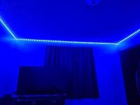 Review Image by david david