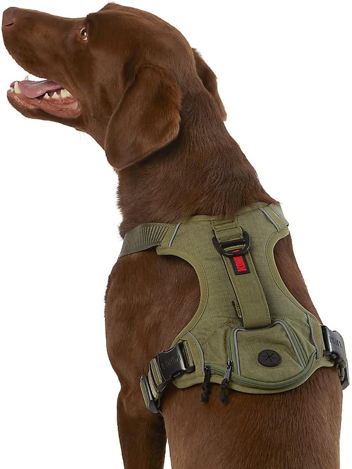 Dog Harness Kong Reflective Pocket Large Green Pet Supplies