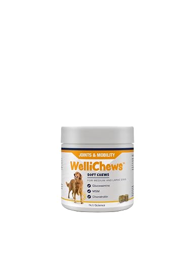 WELLICHEWS - ARTICULACIONES Perro PEQUEÑO (120U) 120G