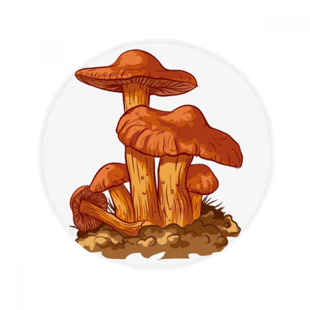 Tapis de sol rond mignon champignon pour égayer la chambre de votre enfant