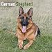 German Shepherd Calendar - Only Dog Breed German Shepherd Calendar - 2016 Wall calendars - Dog Calendars - Monthly Wall Calendar by Avonside