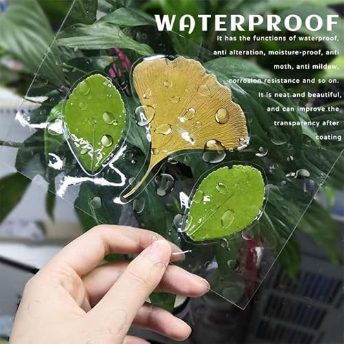 25 Stück Kaltlaminierfolie-A4-Laminierfolien Selbstklebend, Kalt Laminierfolie, Wasserdichte, Transparente Glänzende für Ultraschallbilder, Botanische Exemplare, Fotos, Keine Maschine Erforderlich