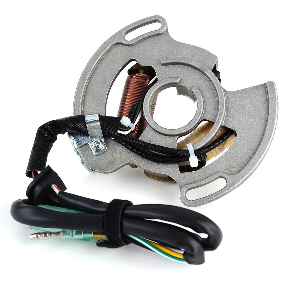 Dispositivi Accensione Moto per YFS 200 per YFS200 per Blaster 2003 2004 2005 2006 2007 Ricambi per Moto Bobina Statore 5VM-85560-00 Kit Accensione Motocicletta