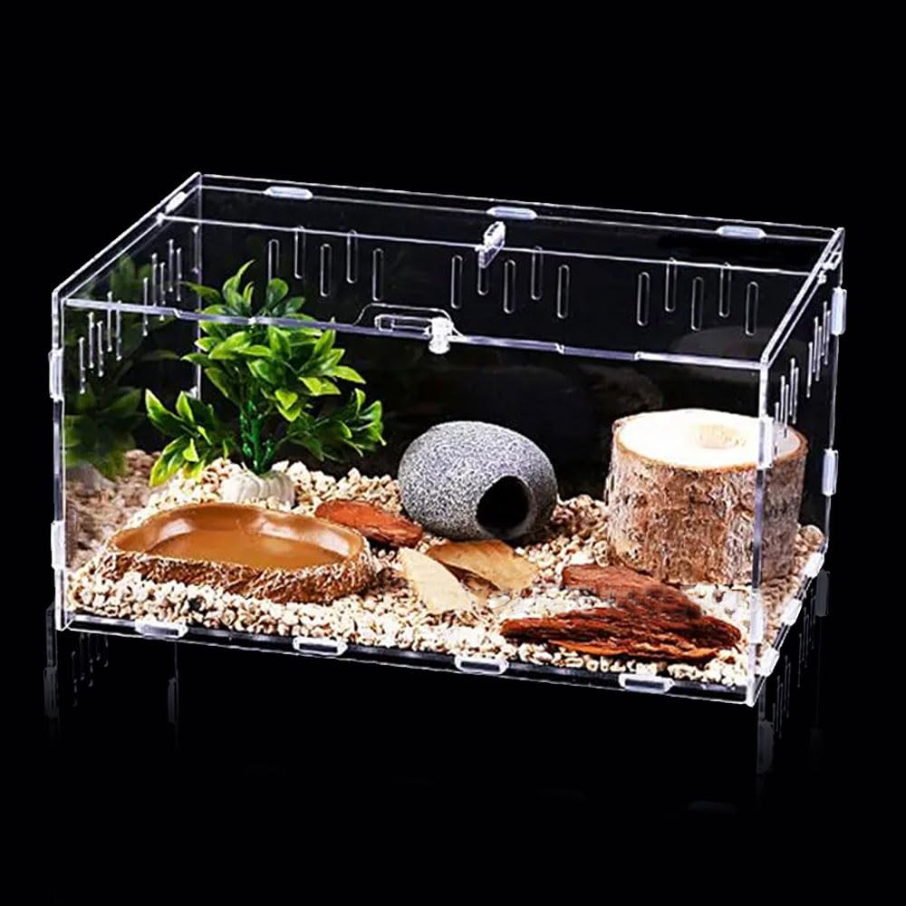 JOBEDE Jumping Spider Terrarium, Reptile Tank Habitat with Locking Acrylic Feeding Box for Tarantula, Isopod, Gecko, Snake (12x8x6)
