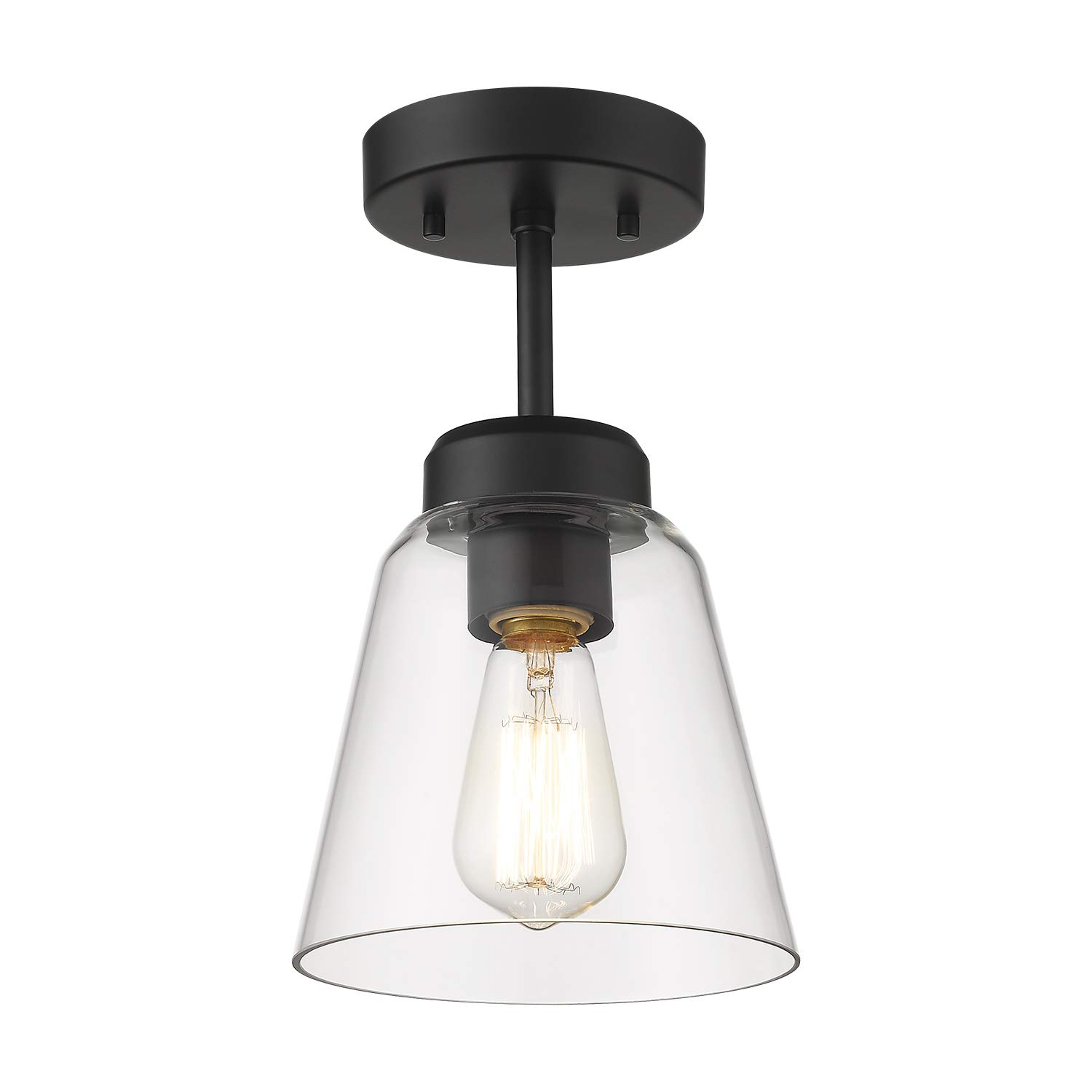 Buy Eapudun Industrial Ceiling Light Fixture with Clear Glass Shade