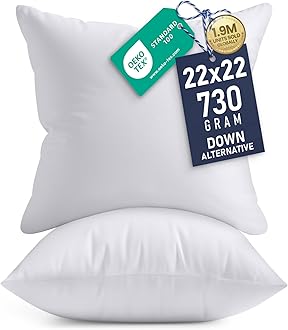 Throw Pillows Insert (Pack of 2, White) - 22 x 22 Inches Bed and Couch Pillows - Indoor Decorative Pillow