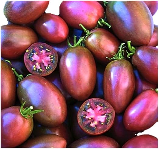 Amazon 超甘い 紫トマト 種 4粒 野菜