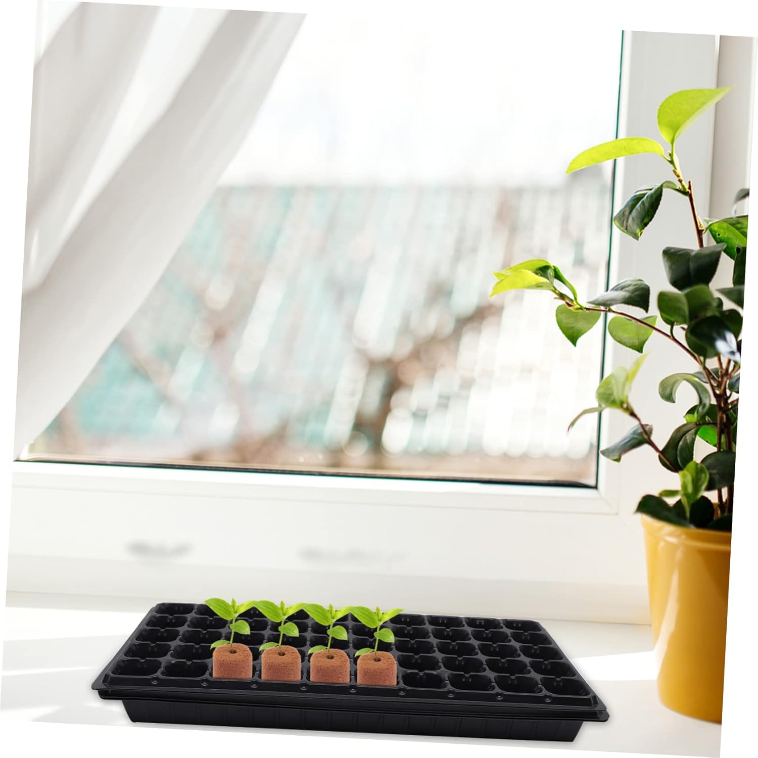 Toyvian 500pcs Nutrient Soilless Plant Nursery Blocks for Hydroponic Growth Peat Cultivation for Indoor Gardening Clean and Convenient Starting Supplies