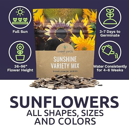 Miniatura 11 de Semillas de girasol a granel, variedad de 10 tipos de hermosos girasoles, bolsa de 1/4 de libra, semillas de girasol polinizadas abiertas
