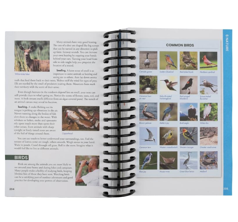 Scouts BSA Unified Handbook, 14th Edition      Hardcover-spiral – March 23, 2026