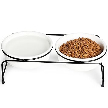 GDCZ Porcelain Raised Cat or Small Dog Bowls with Heighten Metal Stand and Non-Slip Bottom for Pet Food and Water Dishes , 15 Ounces (White)