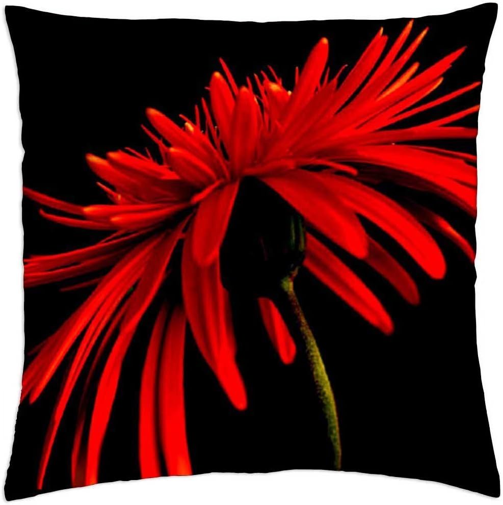 AMArtStore Pillowcases Red poppy, black 18x18(inches)