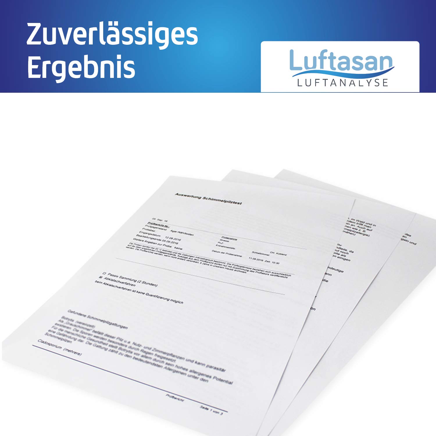 Schimmeltest Abklatschtest für die Wand – Probenahme-Set und professionelle Analyse im Labor
