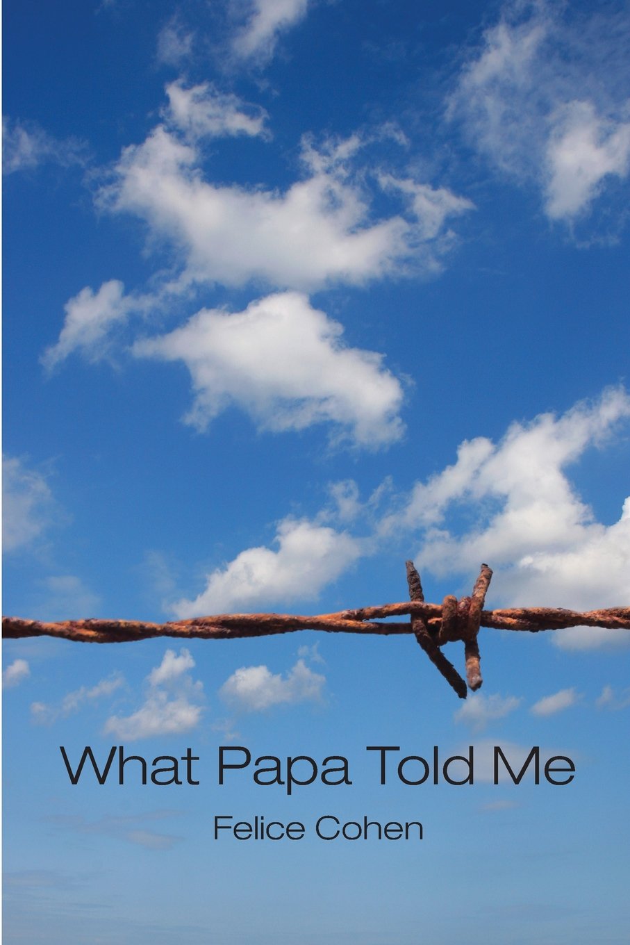 What Papa Told Me-Felice Cohen