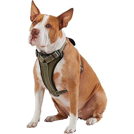 kong waste bag harness