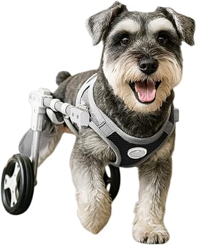 Upgraded version of the new NIGOE dog wheelchair and cat rear wheelchair. Retractable Lightweight Pet Auxiliary Vehicle with Rear Leg Support for Large Dogs and Small Dogs with Teddy Bear