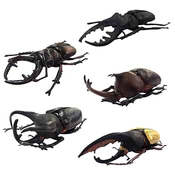 【フィギュア】昆虫＆動物アソート(ランダム) Ania first insect gift set, the World Insect Champion Set