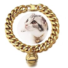 18K Gold Cat Dog Collar Kitten Puppy 1/2inch 12mm Wide Stainless Steel Kitten Choker Curb Chew Proof Cuban Link Chain with Bell Neck Fit 6"-8"