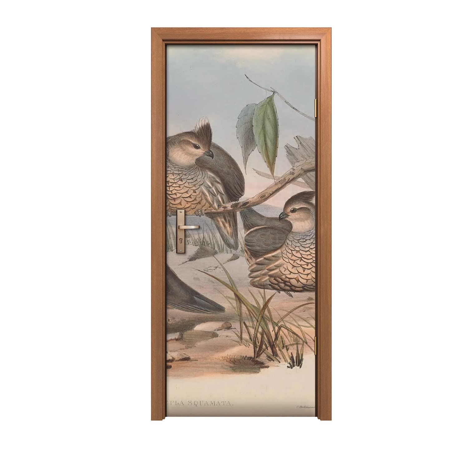 Autocollant de porte oiseau dessin vinyle premium finition mate 90x200