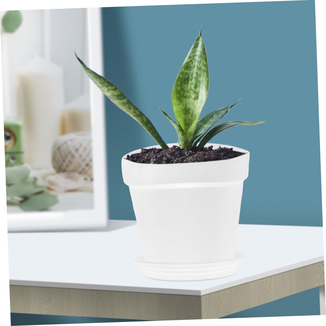 Toyvian 2 Ensembles Pot de Fleurs Plastique avec Soucoupe de Pots Ronds Simples et pour Fleurs et Légumes Utilisation Intérieure et Extérieure