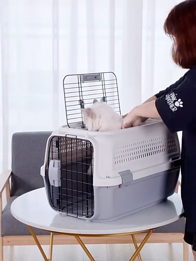 Amazon | ペットキャリー 猫 犬 スーツケース航空輸送ボックス 旅行