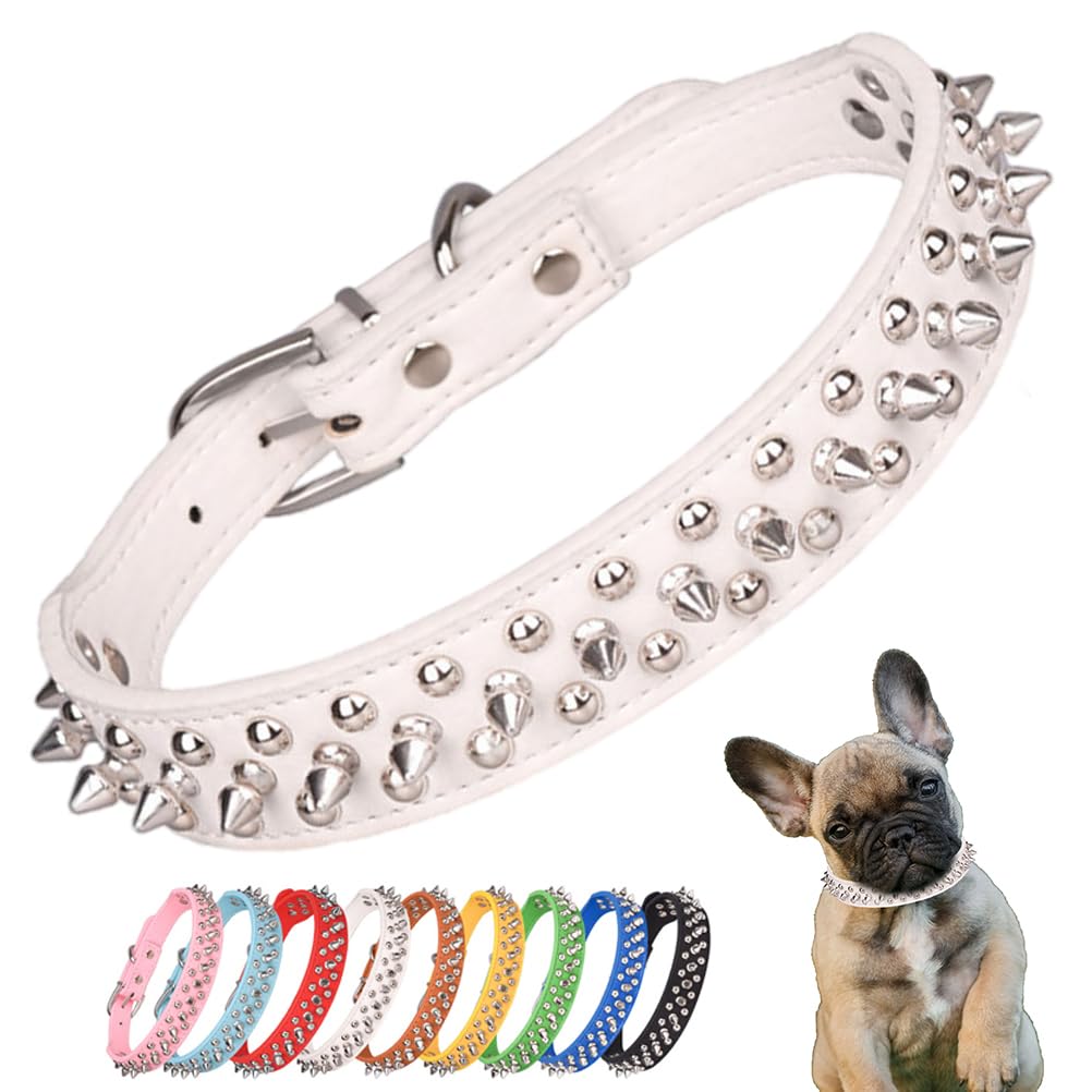 Collier à pointes pour chien pour sécuriser les sorties du chiot