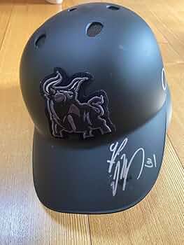 オリックス西野選手　実使用　サイン入りヘルメット オリックス西野選手 実使用 サイン入りヘルメット オリックス