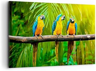Quadro su tela - Elemento unico - Pappagalli Collor Natura uccelli - 120x80cm - Pronto da appendere - Home Decor - Stampe su Tela - Quadri Moderni - completamente incorniciato - AA120x80-2696