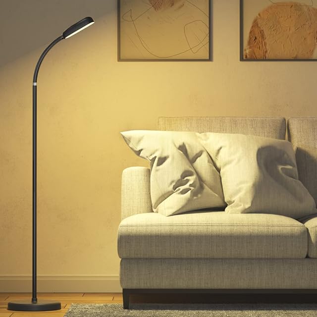 IPARTS EXPERT LED Floor Lamp, Cordless Floor Lamp for Living Room Bedroom Office Desk Lamp Touch Control 3 Colors Temperatures 5 Brightness Gooseneck Dimmable Standing Lamp