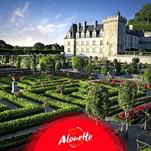 D&eacute;couvrez Villandry et ses somptueux jardins