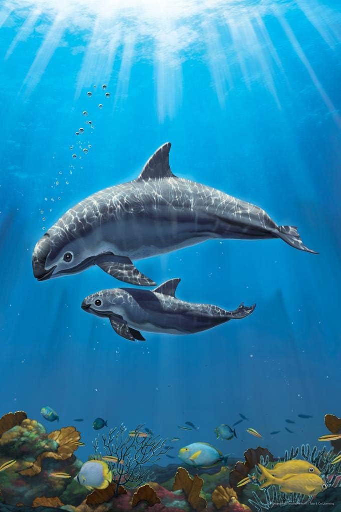 Amazon.de Foundry Poster Vaquita Critically Endangered 12x18 inches