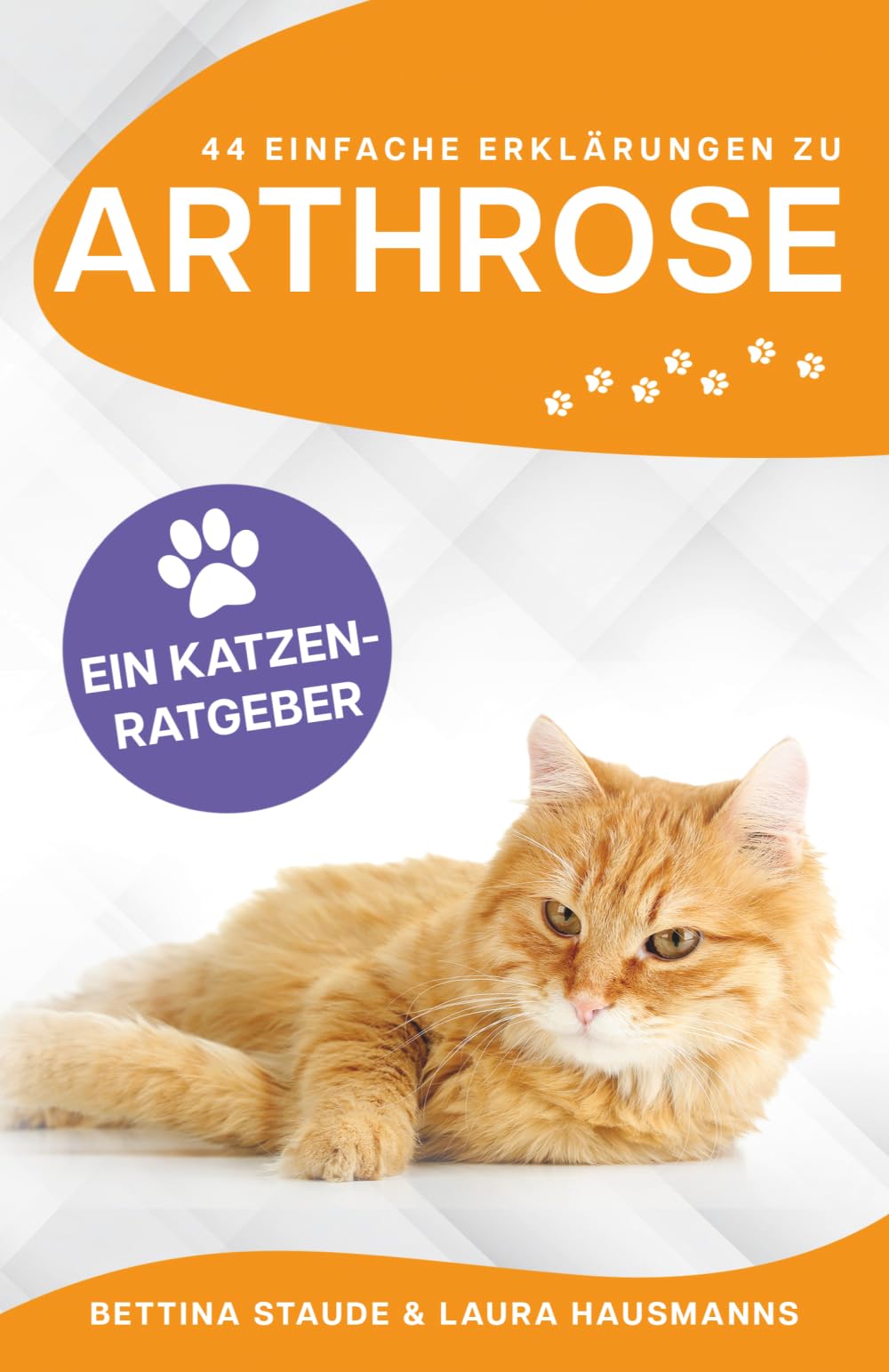 44 einfache Erklärungen zu Arthrose: EIN KATZENRATGEBER (Ratgeber Arthrose bei Haustieren)