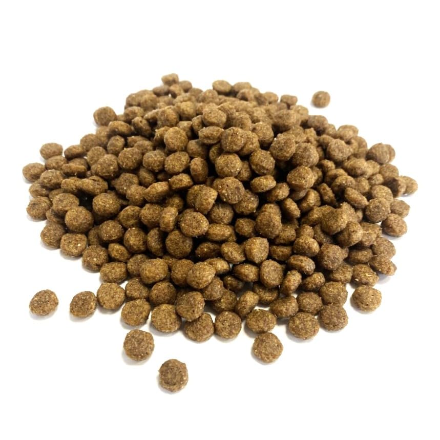 2kg Bag Premium Complete Hedgehog Food Complete Food